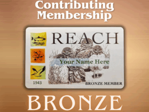 Bronze Membership – $250