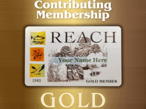Gold Membership – $500